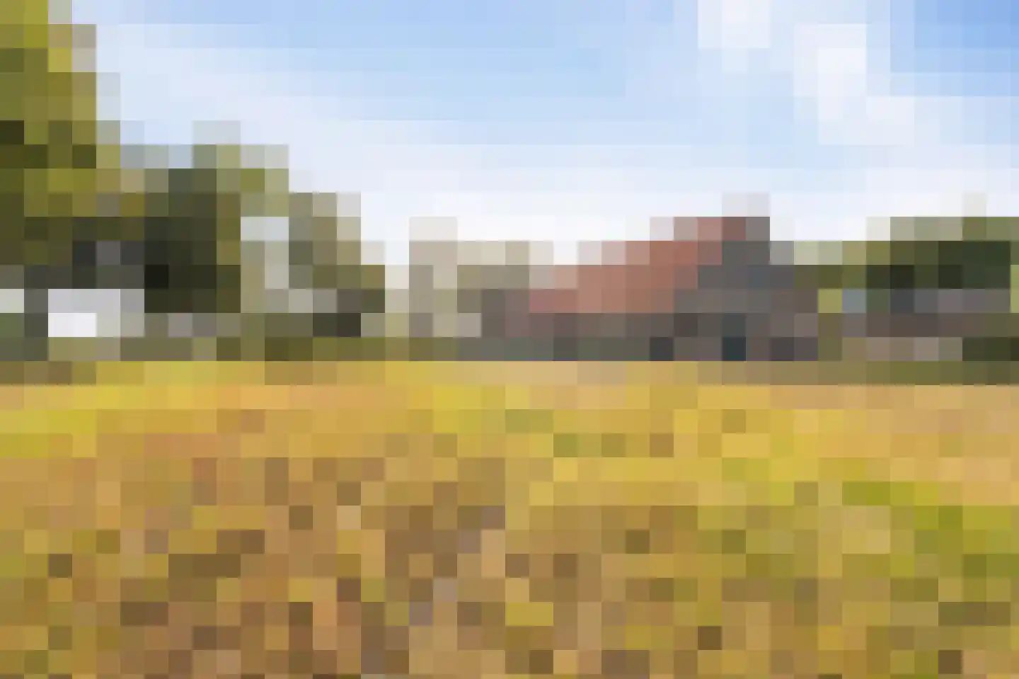 Westermeerweg 3 Tollebeek thumbnail 19
