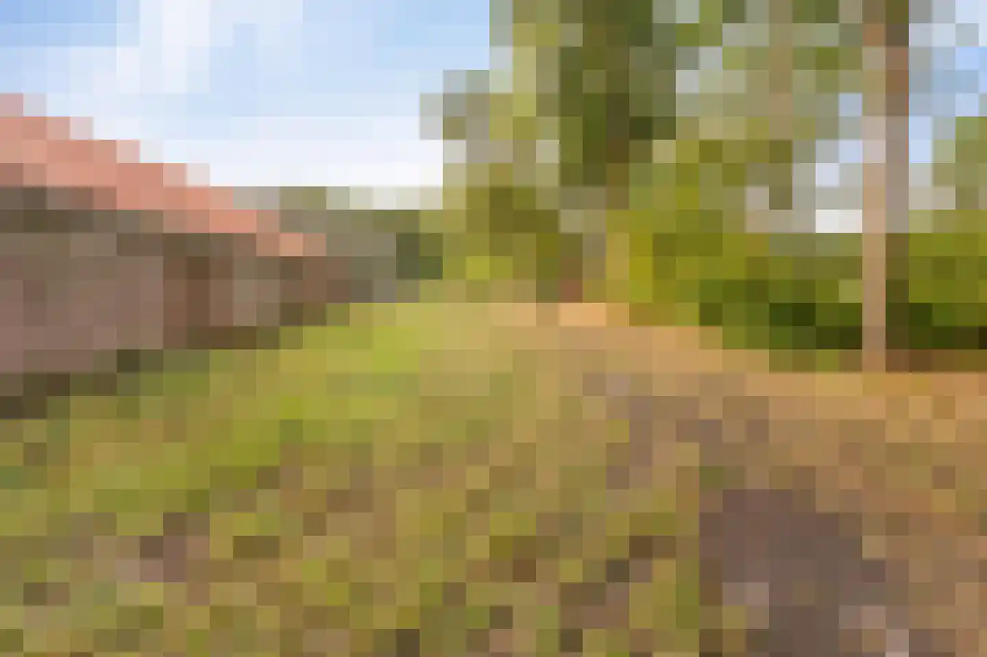 Westermeerweg 3 Tollebeek thumbnail 20