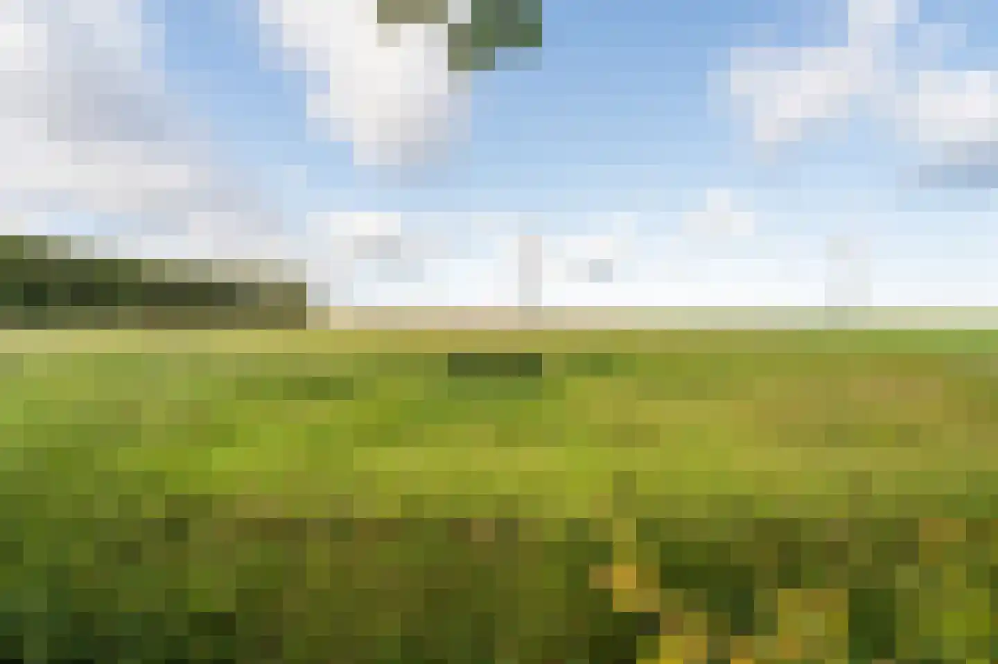 Westermeerweg 3 Tollebeek thumbnail 21