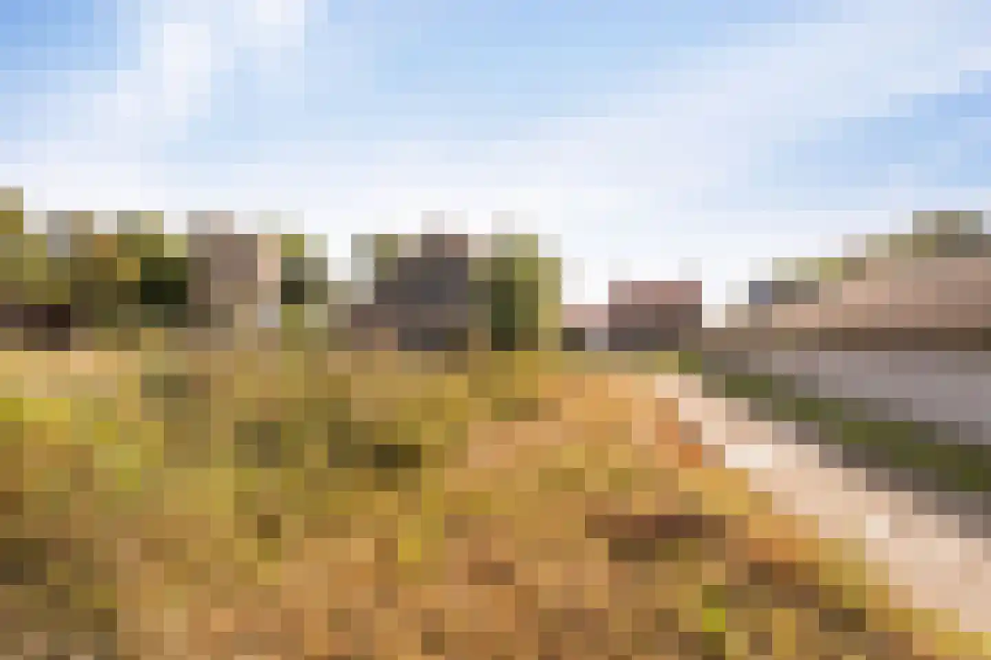 Westermeerweg 3 Tollebeek thumbnail 25