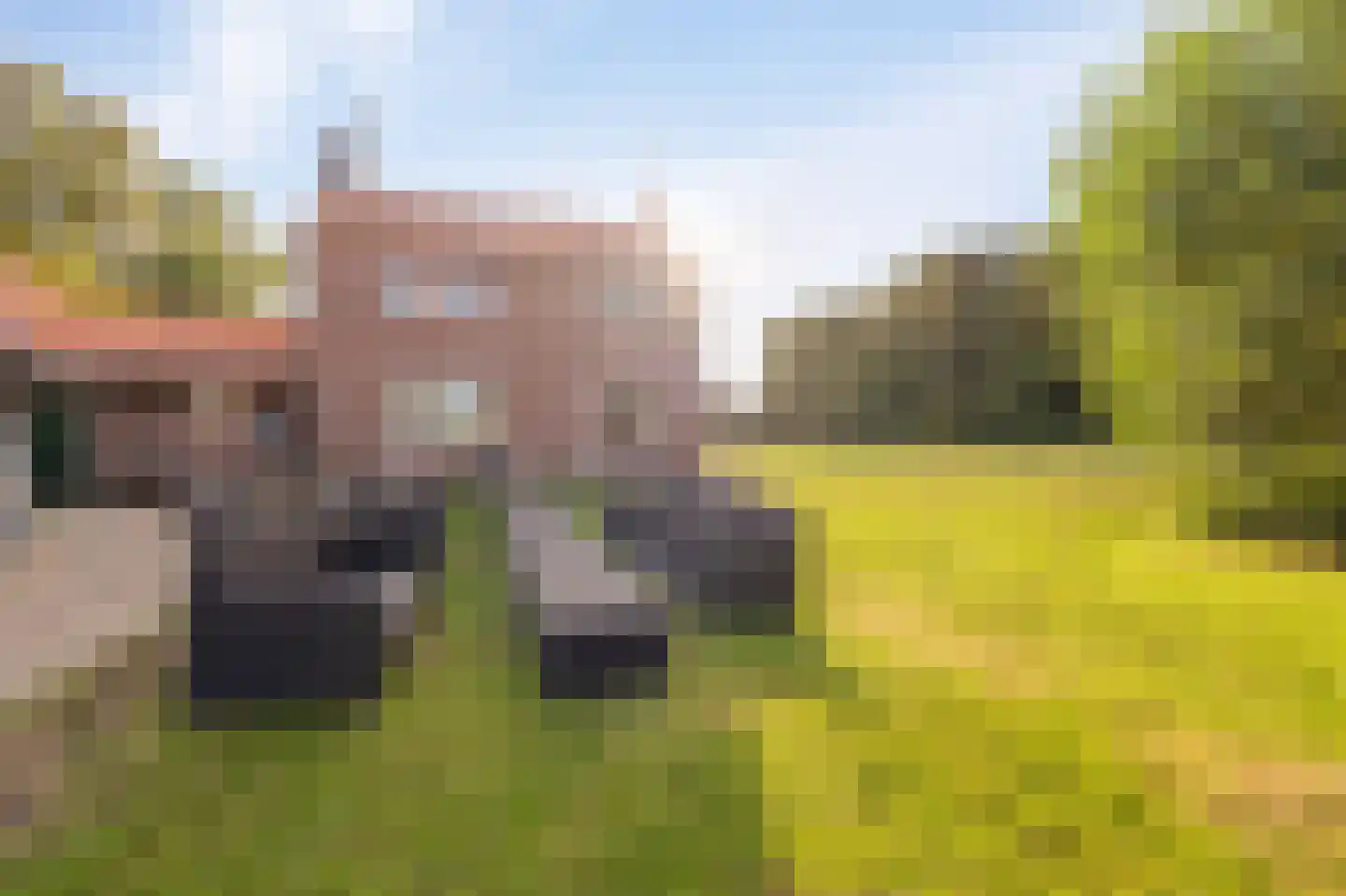 Westermeerweg 3 Tollebeek thumbnail 27