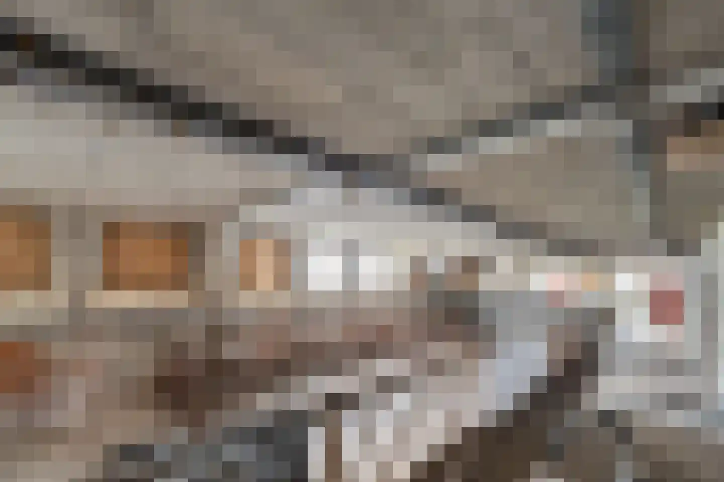 Westermeerweg 3 Tollebeek thumbnail 35