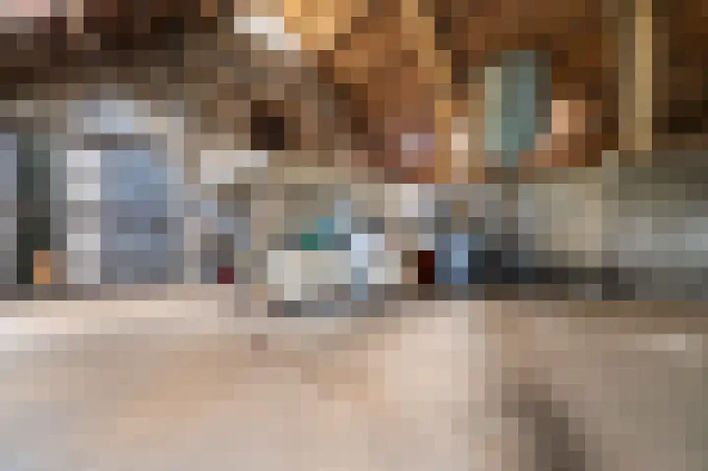 Westermeerweg 3 Tollebeek thumbnail 38