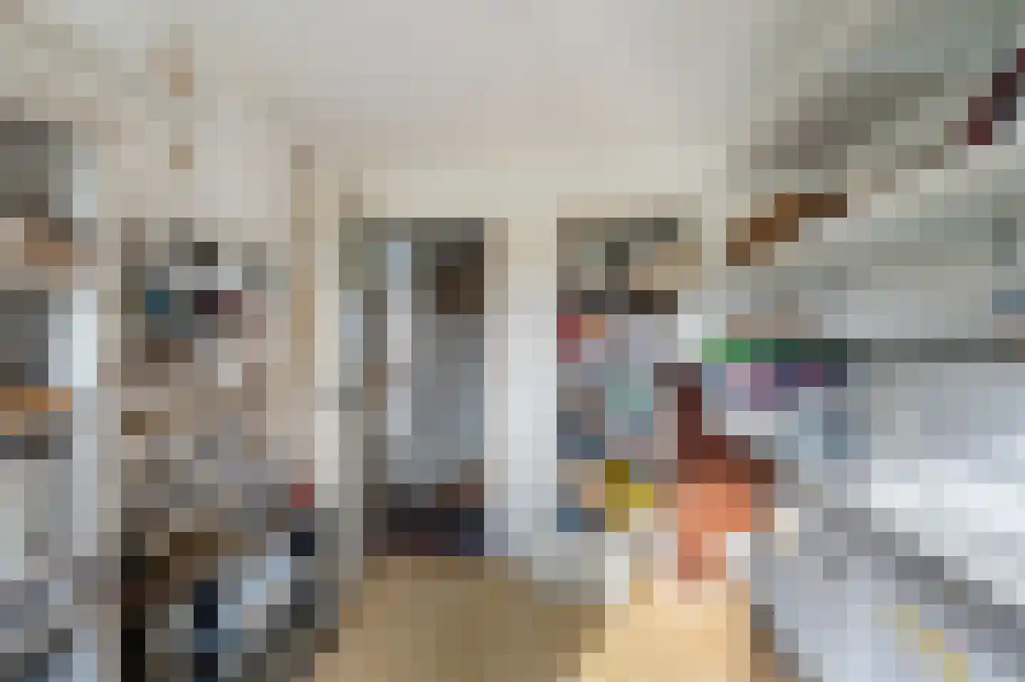 Westermeerweg 3 Tollebeek thumbnail 64