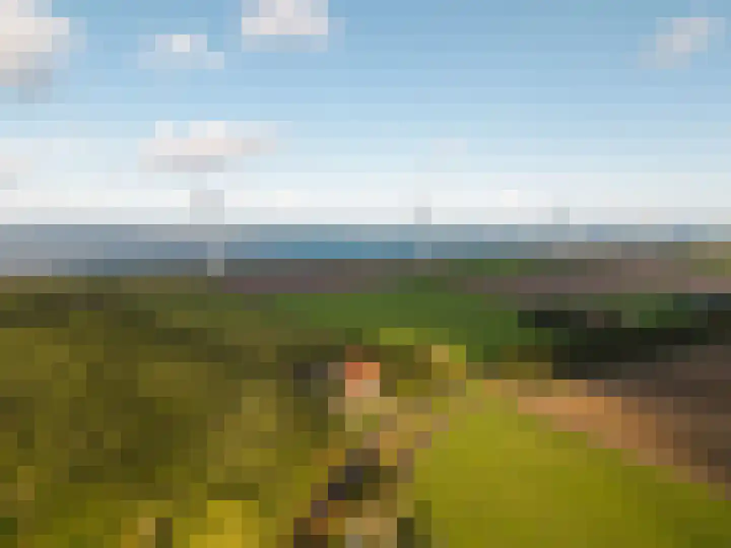 Westermeerweg 3 Tollebeek thumbnail 7