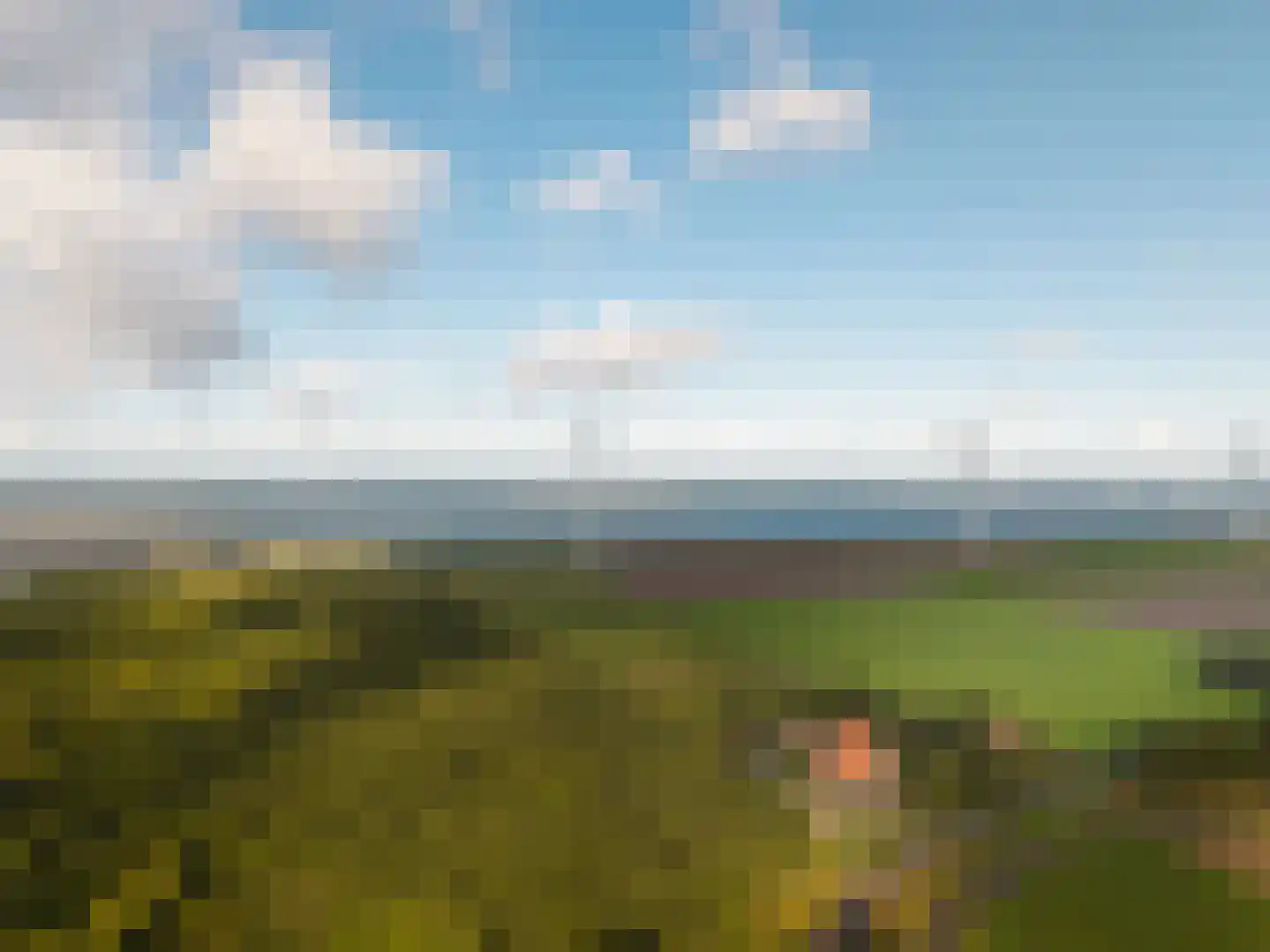 Westermeerweg 3 Tollebeek thumbnail 9