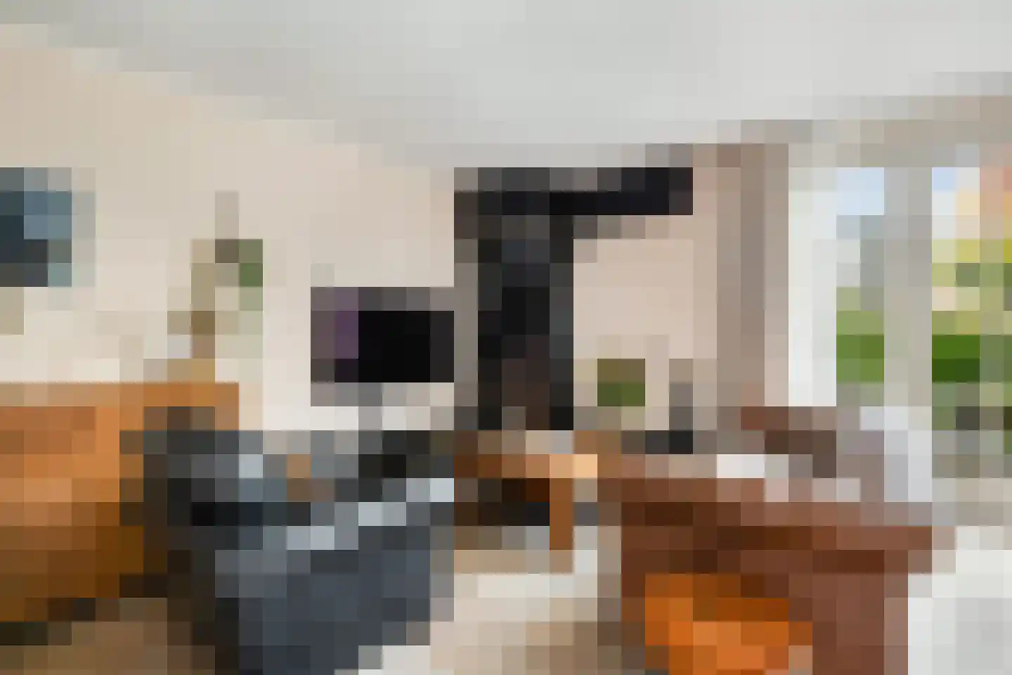 Westerom 10 Gouda thumbnail 6