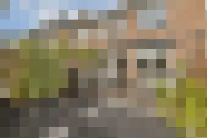 Westerom 34 Gouda thumbnail 21