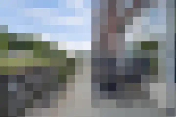 Westerpark 101 Rijnsburg thumbnail 31