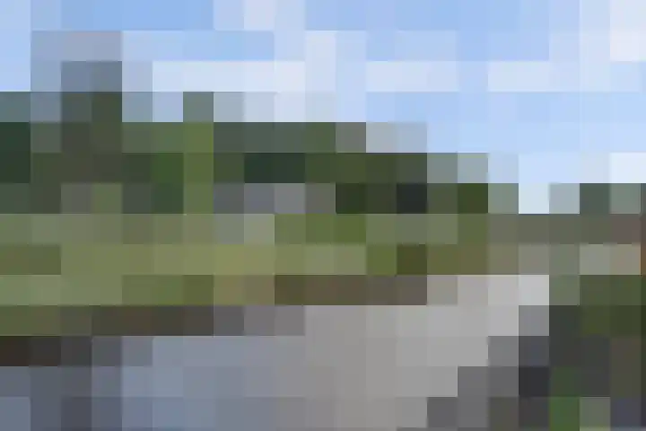 Westerpark 101 Rijnsburg thumbnail 35