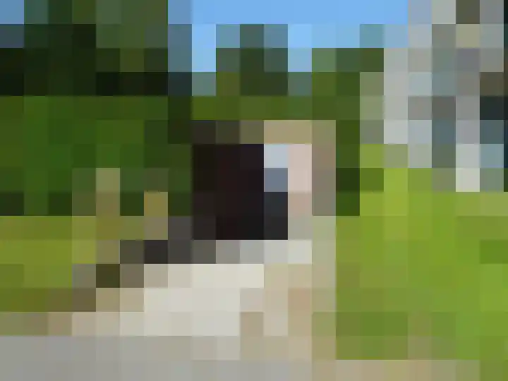 Westerpark 101 Schagen thumbnail 17