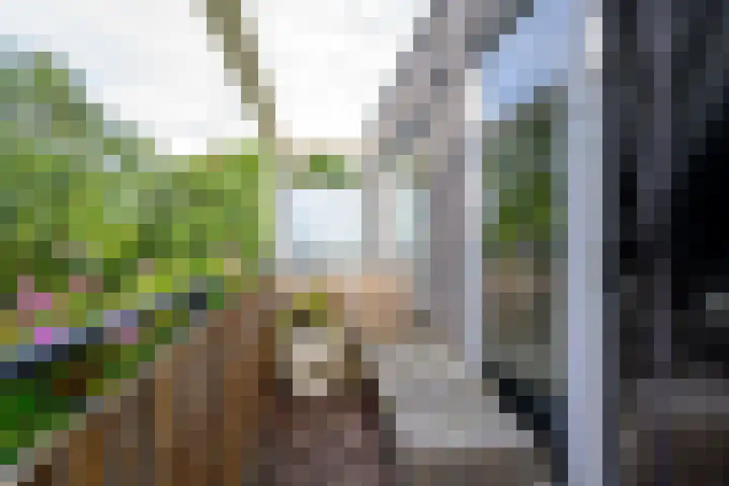 Westerpark 108 Schagen thumbnail 15