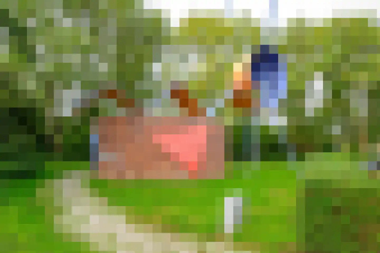 Westerpark 108 Schagen thumbnail 41