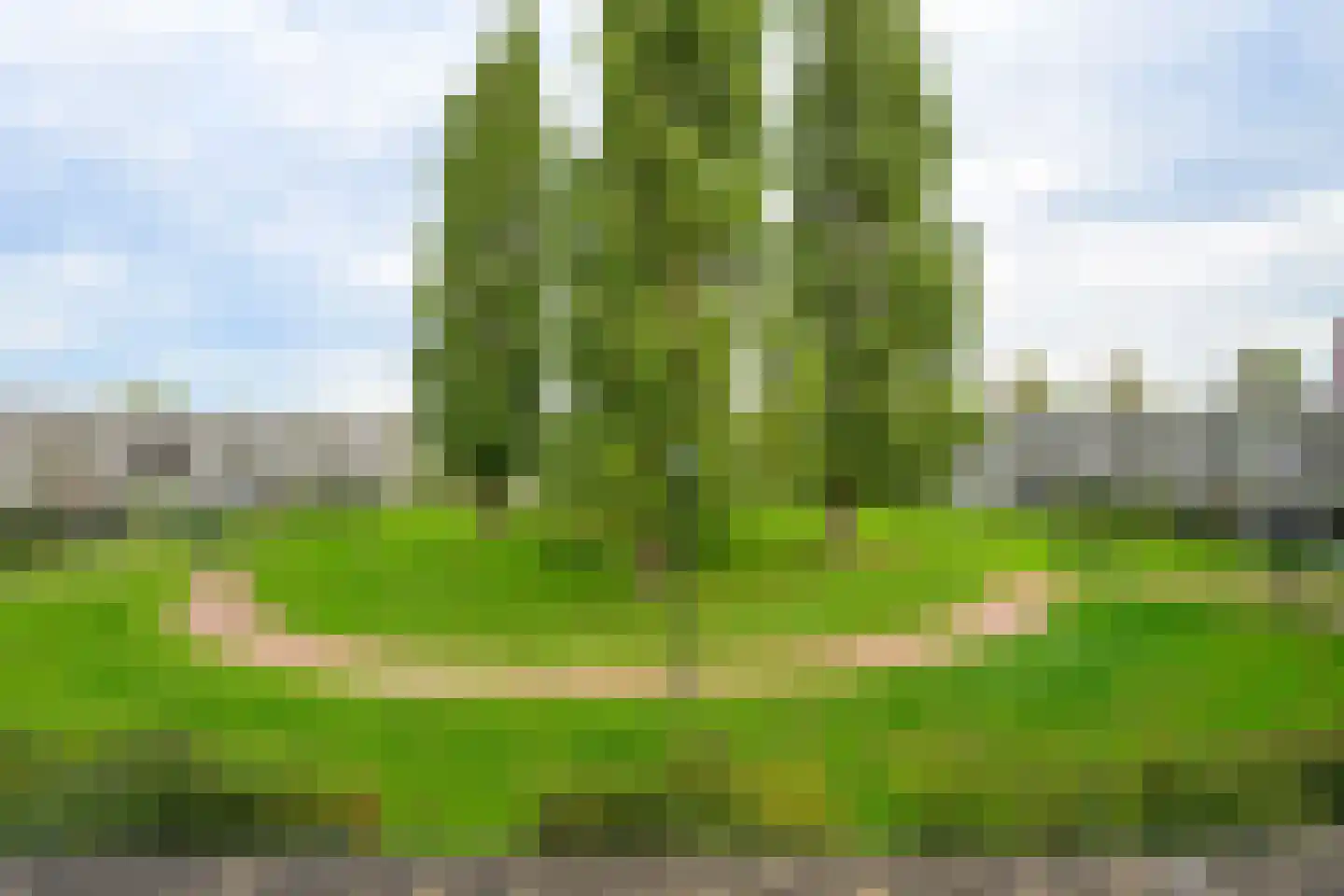 Westerpark 108 Schagen thumbnail 8