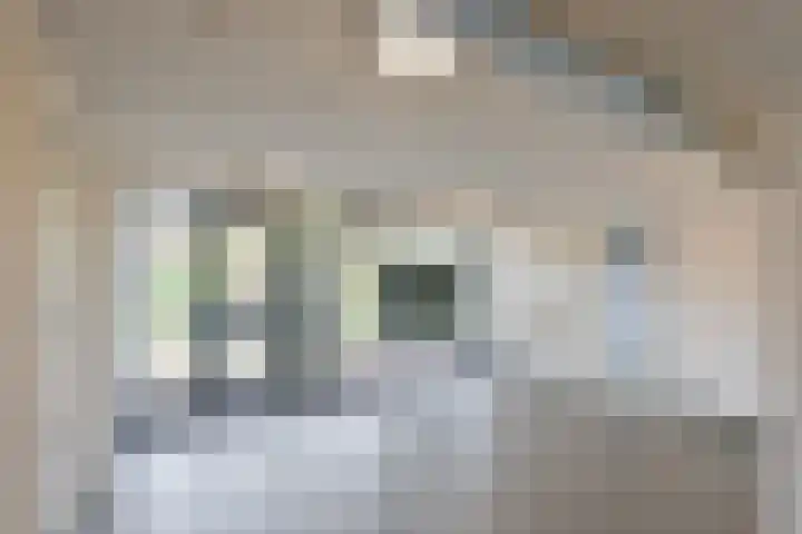 Westerpark 122 Schagen thumbnail 21