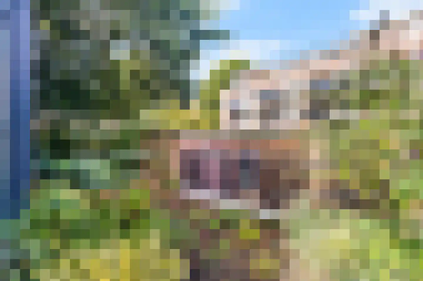 Westerpark 21 Schagen thumbnail 27