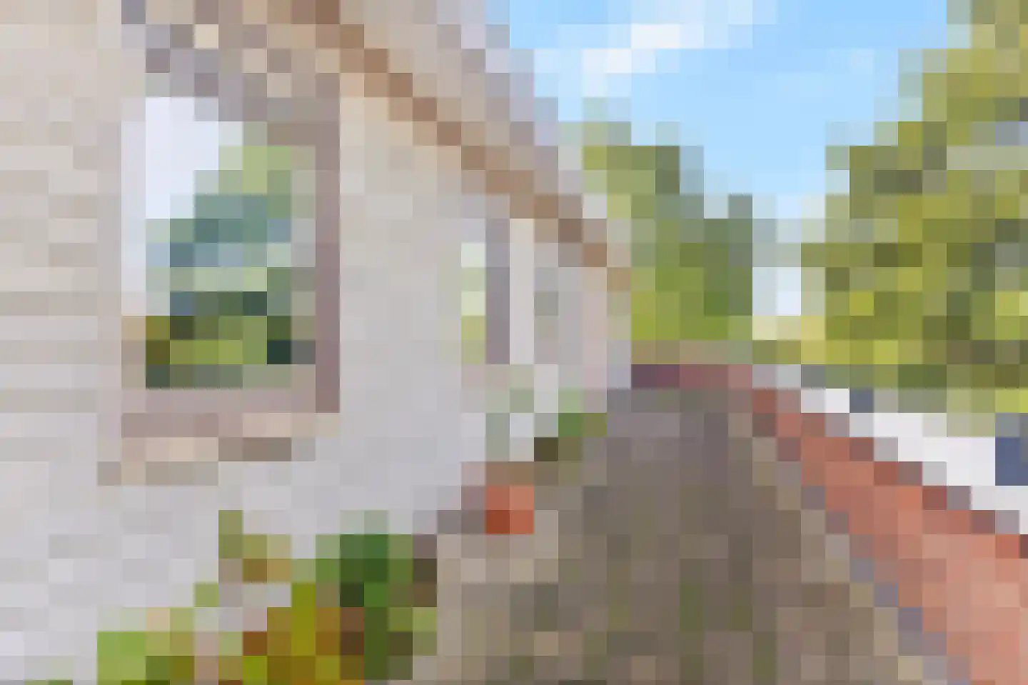 Westerpark 21 Schagen thumbnail 5