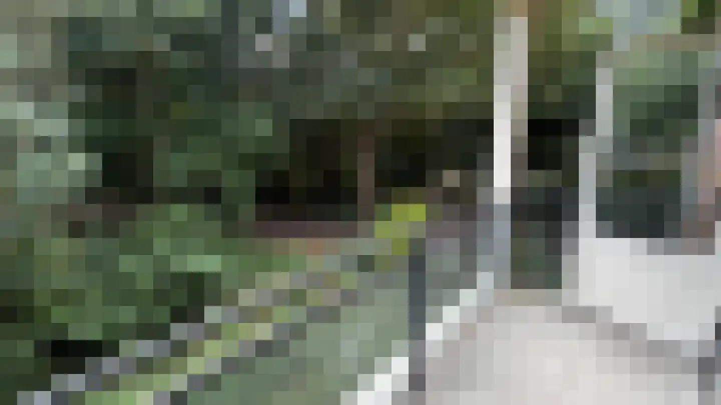 Westerpark 65 Schagen thumbnail 13