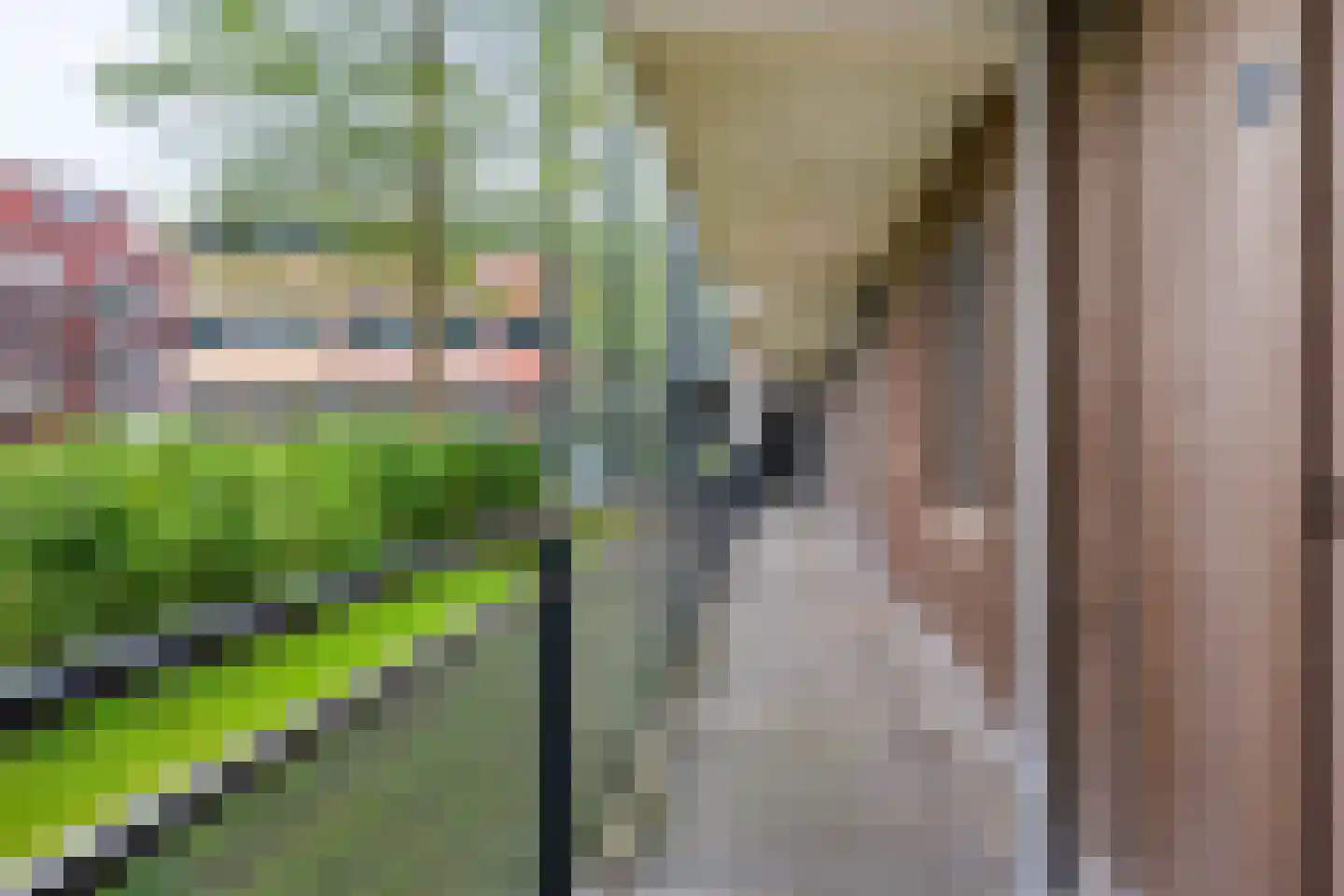 Westerpark 85 Schagen thumbnail 10