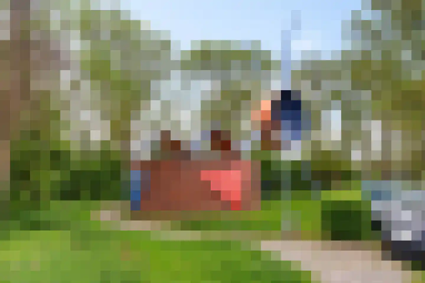 Westerpark 85 Schagen thumbnail 31