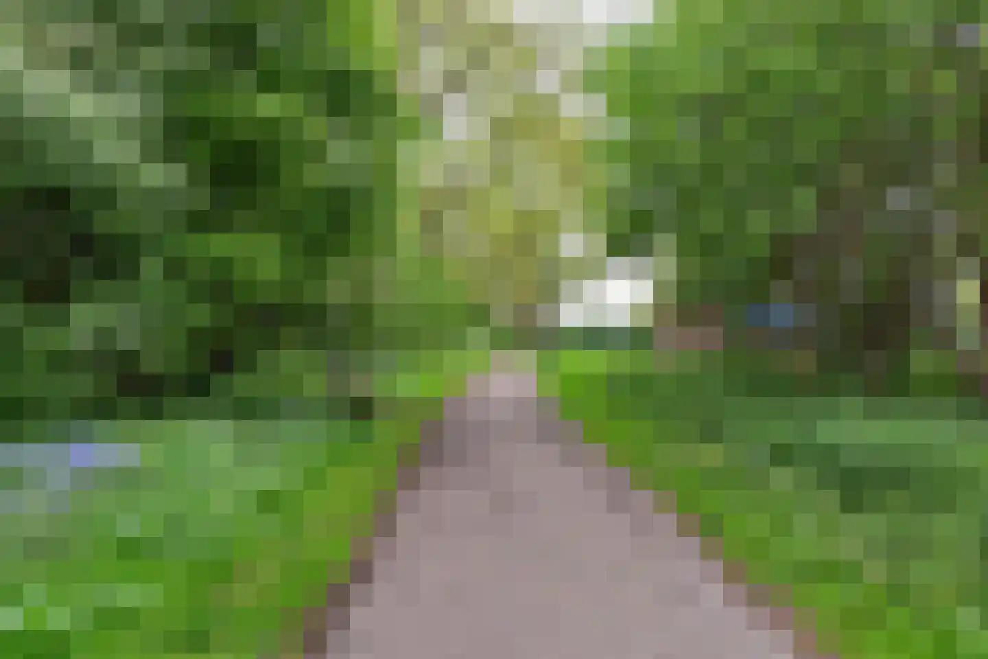 Westerpark 85 Schagen thumbnail 33