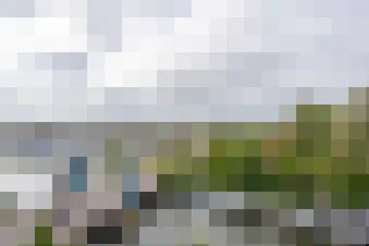Westerpark 94 Rijnsburg thumbnail 7