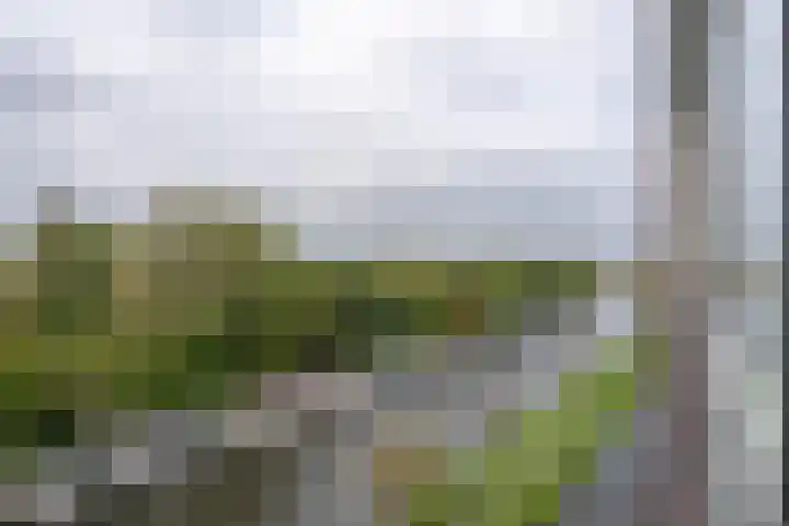 Westerpark 94 Rijnsburg thumbnail 8