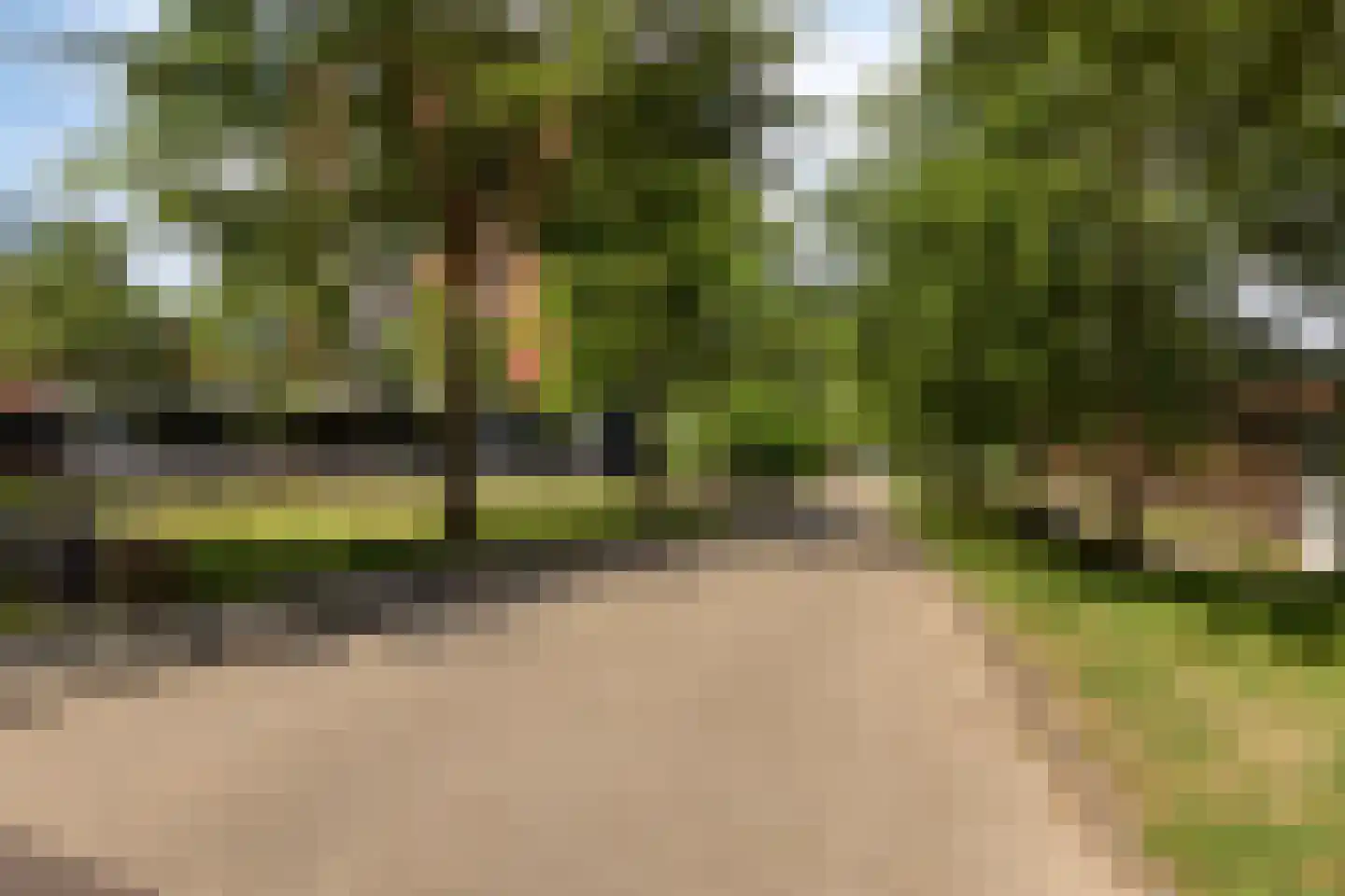 Westerparklaan 22 's-Hertogenbosch thumbnail 47