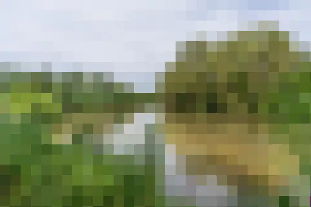 Westerparklaan 22 's-Hertogenbosch thumbnail 54