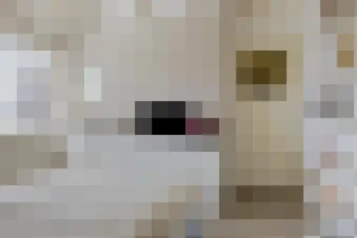 Westerparkstraat 13 Leeuwarden thumbnail 45