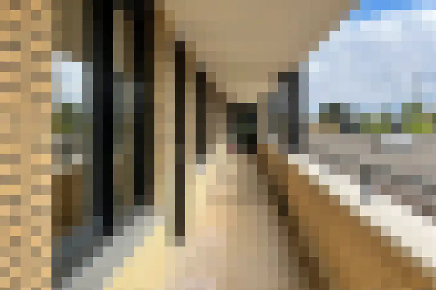 Westerplein 24 Berkel en Rodenrijs thumbnail 29