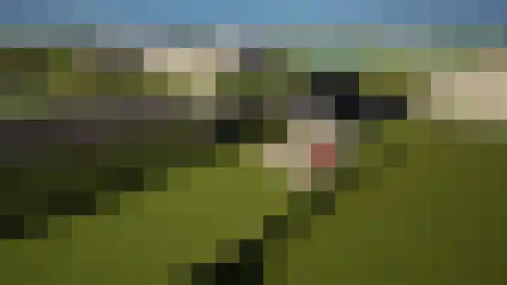 Westerpolder 6 Dronryp foto 2