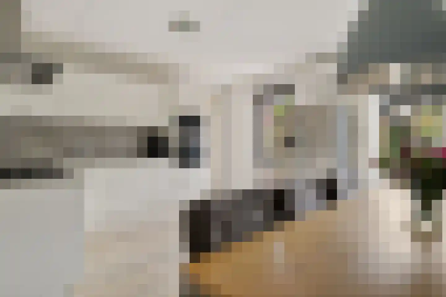 Westerrak 13 Sneek thumbnail 12