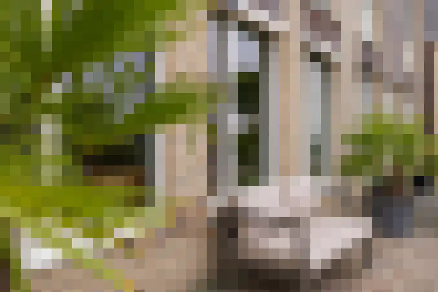 Westerrak 13 Sneek thumbnail 45