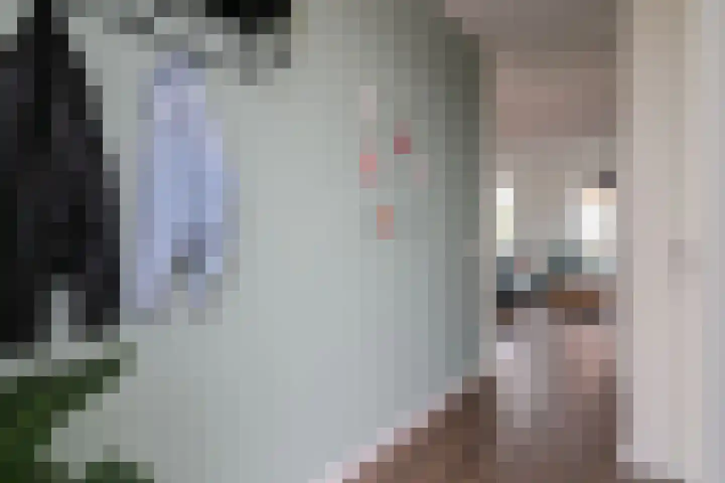 Westerrak 40 Sneek thumbnail 7