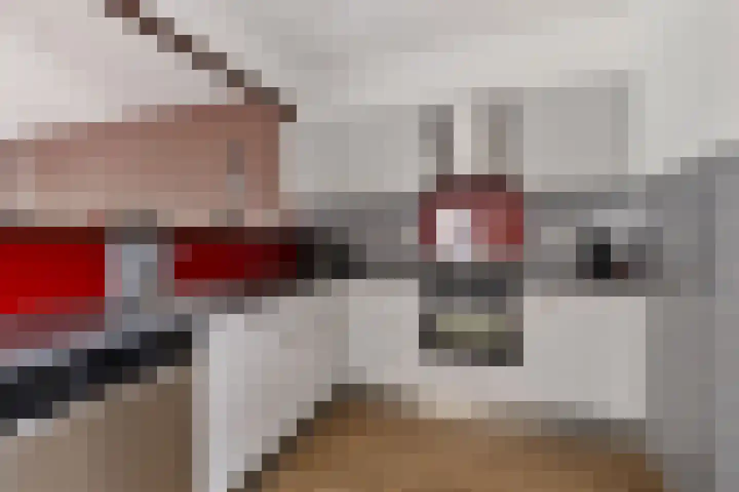Westerrand 33 Espel thumbnail 19