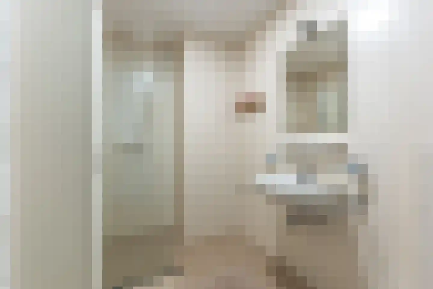 Westerschans 102 Goes thumbnail 32