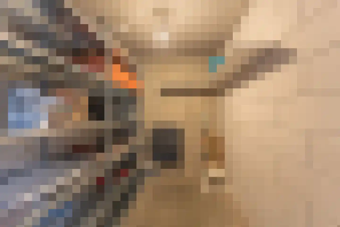 Westerschans 102 Goes thumbnail 74