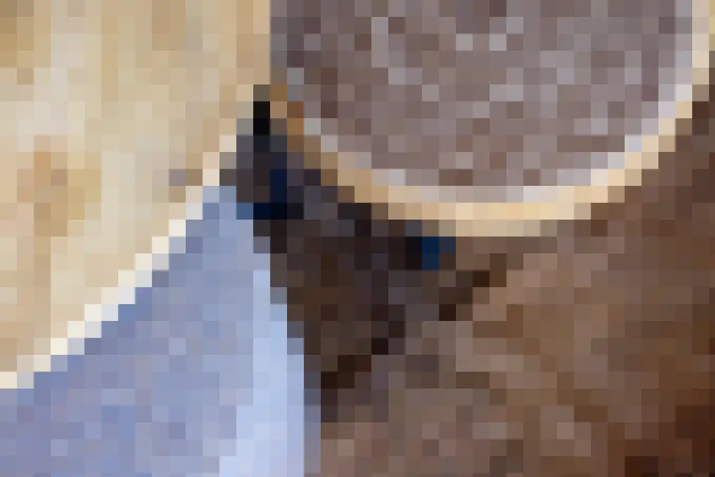 Westerschans 13 Leiderdorp thumbnail 13