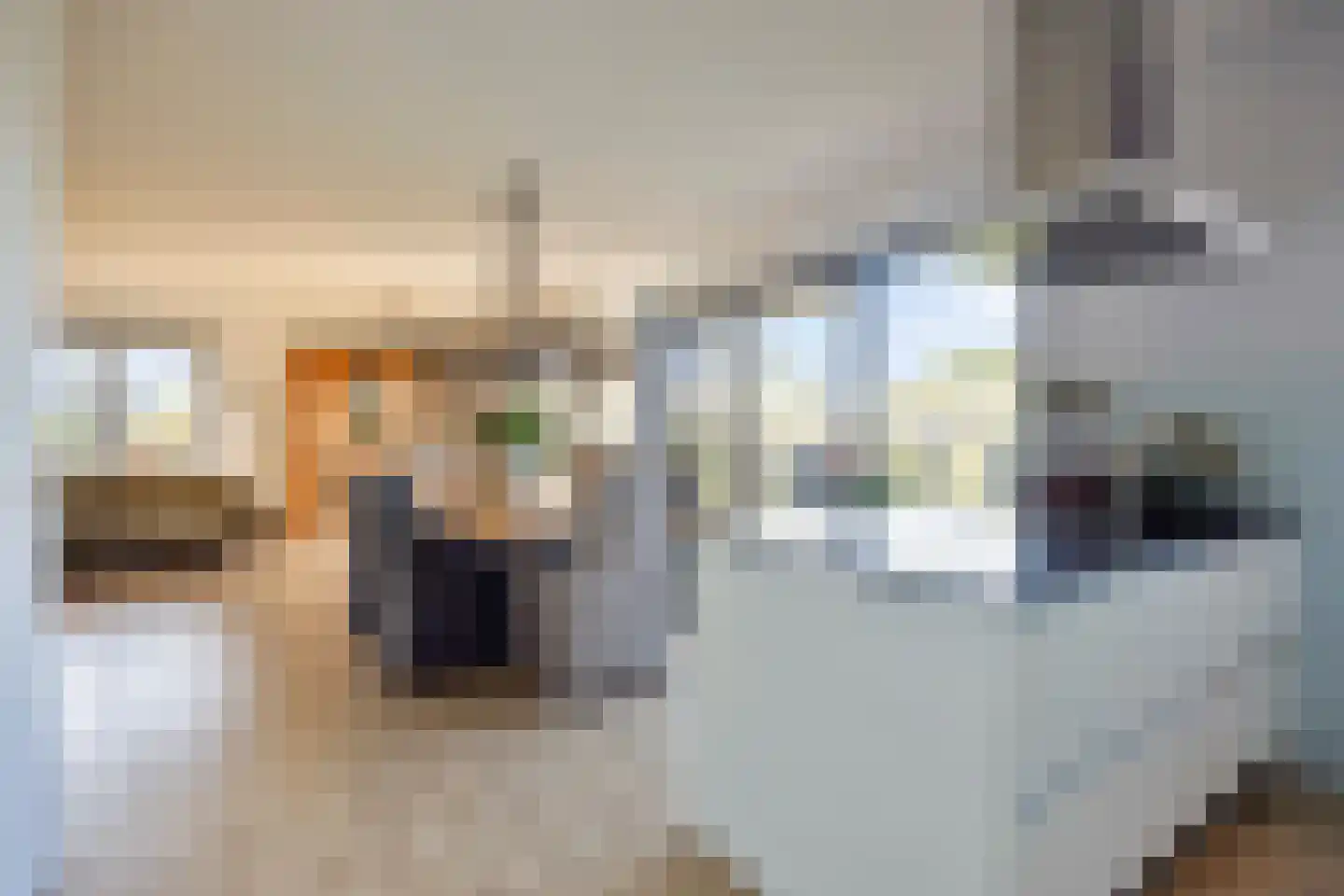Westerschans 13 Leiderdorp thumbnail 18
