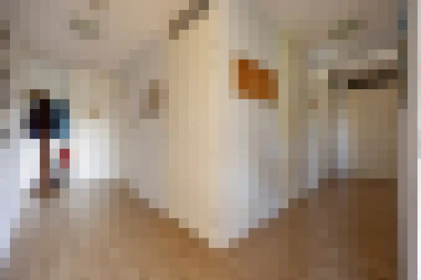 Westerschans 13 Leiderdorp thumbnail 25