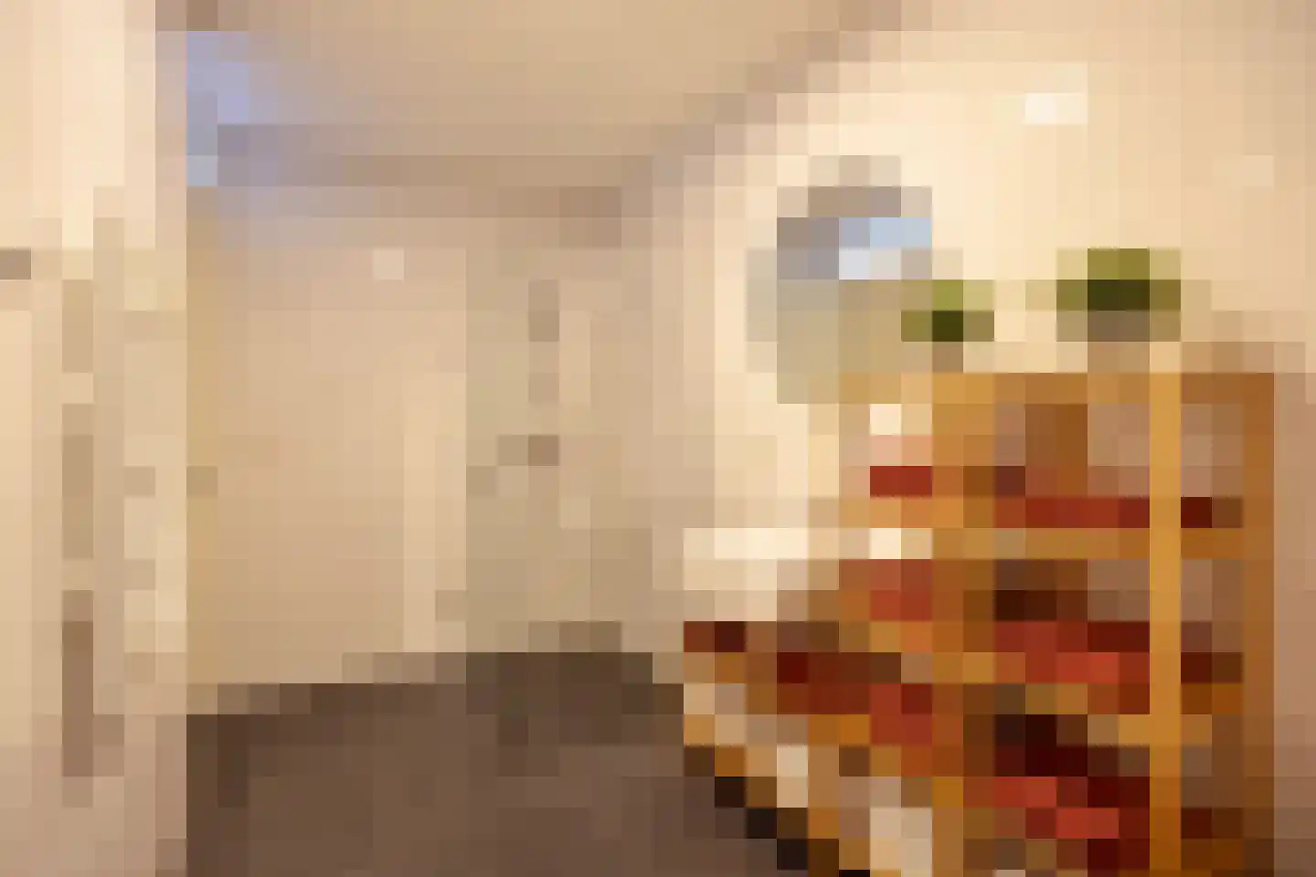 Westerschans 13 Leiderdorp thumbnail 31
