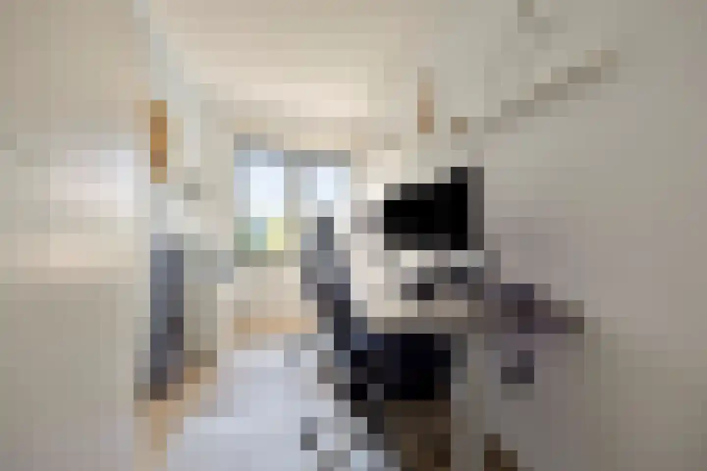 Westerschans 13 Leiderdorp thumbnail 34