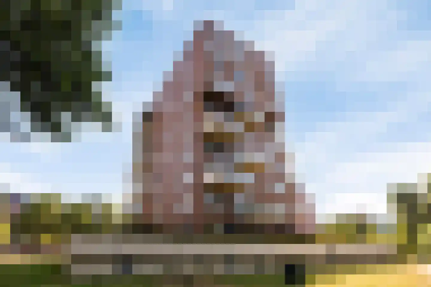 Westerschans 13 Leiderdorp thumbnail 39