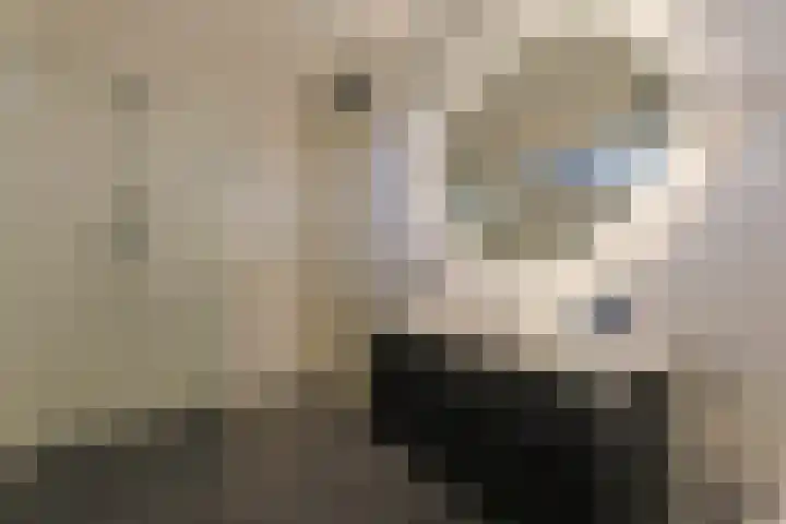 Westerschans 28 Leiderdorp thumbnail 20