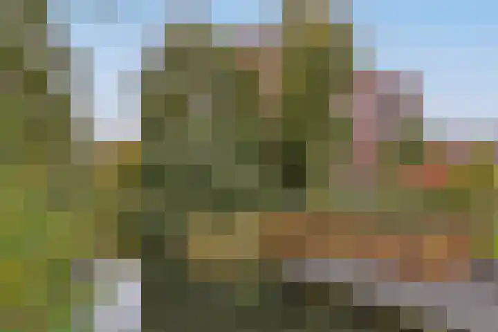 Westerschans 28 Leiderdorp thumbnail 30