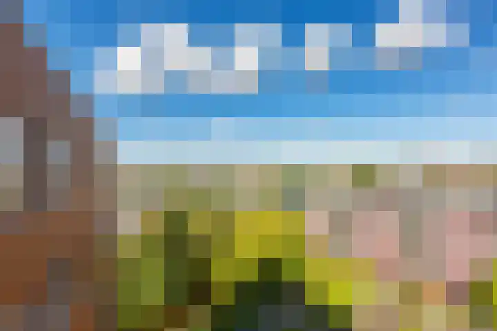 Westerschans 33 Leiderdorp thumbnail 19