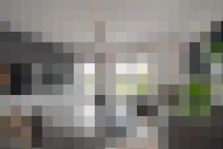 Westerschelde 11 Zoetermeer thumbnail 10
