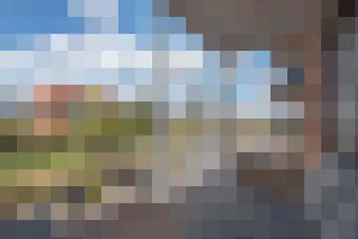 Westerschelde 11 Zoetermeer thumbnail 11