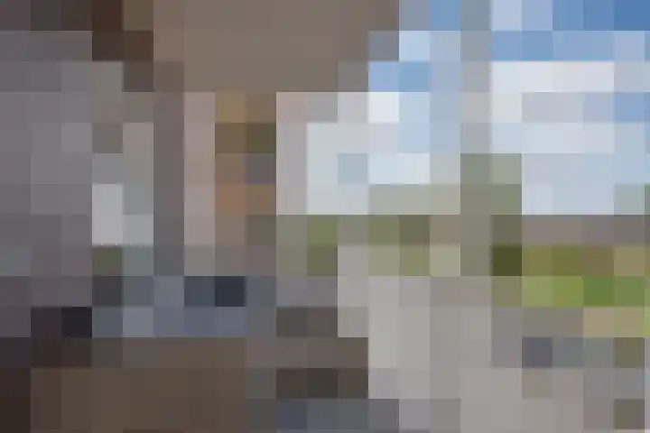 Westerschelde 11 Zoetermeer thumbnail 12
